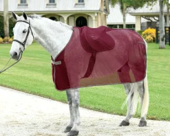 S.K. EXPORTS Anti-Sweat Sheets|Rider’s International™ Ringside Scrim Sheet