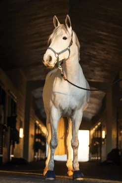 SHIVAM Bell Boots|Bell Boots|Rider's International™ Rubber Hook-and-Loop Bell Boots