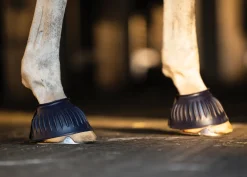 SHIVAM Bell Boots|Bell Boots|Rider's International™ Rubber Hook-and-Loop Bell Boots