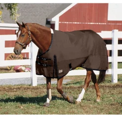 CWEAR BRANCH Turnout Blankets|Rider’s International™ Supreme Heavyweight Turnout Blanket