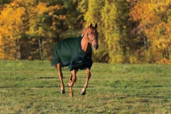CWEAR BRANCH Turnout Blankets|Rider’s International™ Supreme Heavyweight Turnout Blanket
