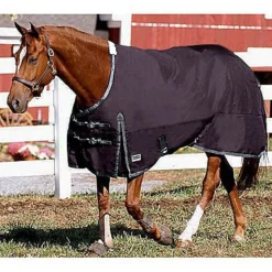CWEAR BRANCH Turnout Blankets|Rider’s International™ Supreme Heavyweight Turnout Blanket