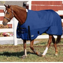 CWEAR BRANCH Turnout Blankets|Rider’s International™ Supreme Heavyweight Turnout Blanket