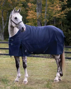 CWEAR BRANCH Turnout Blankets|Rider’s International™ Supreme 100 Gram Turnout Blanket