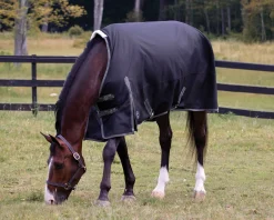 CWEAR BRANCH Turnout Blankets|Rider’s International™ Supreme 100 Gram Turnout Blanket