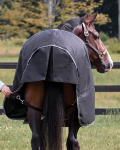 CWEAR BRANCH Turnout Blankets|Rider’s International™ Supreme 100 Gram Turnout Blanket