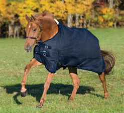 CWEAR BRANCH Turnout Blankets|Rider’s International™ Supreme Medium-Weight Turnout Blanket