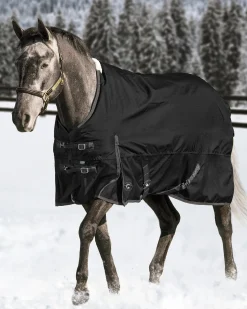 CWEAR BRANCH Turnout Blankets|Rider’s International™ Supreme Medium-Weight Turnout Blanket