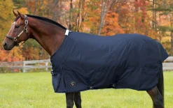CWEAR BRANCH Turnout Blankets|Rider’s International™ Supreme Medium-Weight Turnout Blanket
