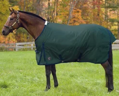 CWEAR BRANCH Turnout Blankets|Rider’s International™ Supreme Medium-Weight Turnout Blanket