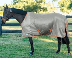 INTEX EQUESTRIAN Fly Control|Fly Sheets|Rider’s International™ Fly Sheet