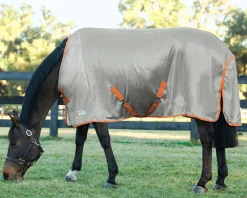 INTEX EQUESTRIAN Fly Control|Fly Sheets|Rider’s International™ Fly Sheet