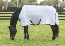 INTEX EQUESTRIAN Fly Control|Fly Sheets|Rider’s International™ Fly Sheet