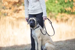 PUSHKAR INTL Collars & Leashes|Rider’s International™ Laced Rein Dog Leash