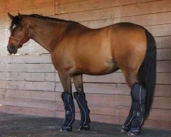 KARTIKEYA INTL Trailering|Rider’s International™ Shipping Boot Set