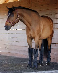 KARTIKEYA INTL Trailering|Rider’s International™ Shipping Boot Set