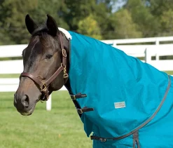 CWEAR BRANCH Turnout Sheets|Rider’s International™ Supreme Neck Cover