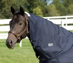 CWEAR BRANCH Turnout Sheets|Rider’s International™ Supreme Neck Cover