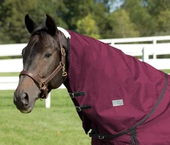 CWEAR BRANCH Turnout Sheets|Rider’s International™ Supreme Neck Cover