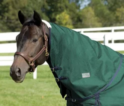 CWEAR BRANCH Turnout Sheets|Rider’s International™ Supreme Neck Cover