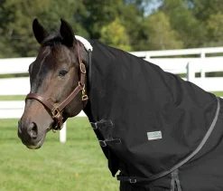 CWEAR BRANCH Turnout Sheets|Rider’s International™ Supreme Neck Cover