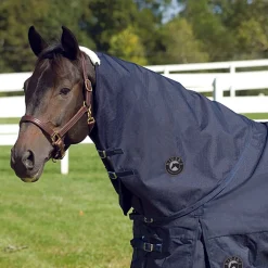 CWEAR BRANCH Turnout Sheets|Rider’s International™ Supreme Neck Cover