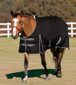 CWEAR BRANCH Turnout Sheets|Rider’s International™ Supreme Turnout Sheet
