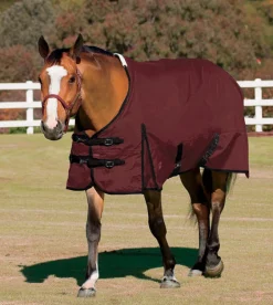CWEAR BRANCH Turnout Sheets|Rider’s International™ Supreme Turnout Sheet