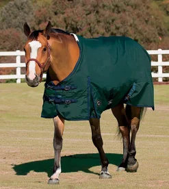CWEAR BRANCH Turnout Sheets|Rider’s International™ Supreme Turnout Sheet