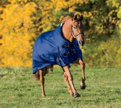 CWEAR BRANCH Turnout Sheets|Rider’s International™ Supreme Turnout Sheet