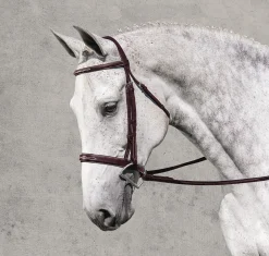ERS English Bridles|Rodrigo Classic Hunter Bridle
