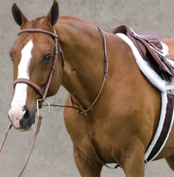 ERS Martingales & Breastplates|Rodrigo Raised Fancy Stitched Martingale