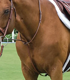 ERS Martingales & Breastplates|Rodrigo Raised Fancy Stitched Martingale