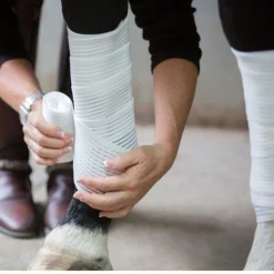 SARATOGA HORSEWORKS Horse Leg Wraps|Saratoga Bandages (2-Pack)