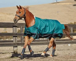 WEATHERBEETA Turnout Blankets|Saxon 1200D Medium-Weight Blanket with Gussets & Standard Neck II
