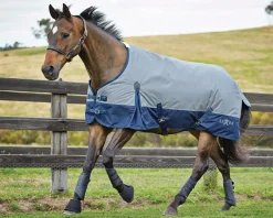 WEATHERBEETA Turnout Blankets|Saxon 600D Medium-Weight Blanket with Gussets & Standard Neck II