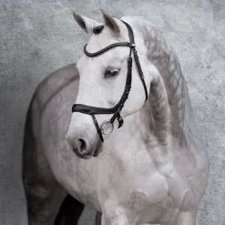 SCHOCKEMOEHLE N.A. English Bridles|Schockemöhle Equitus Alpha Bridle