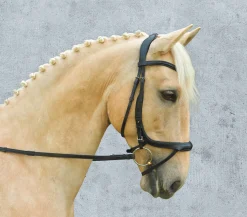 SCHOCKEMOEHLE N.A. English Bridles|Schockemöhle Equitus Alpha Bridle