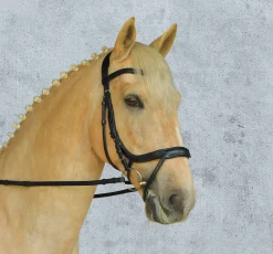 SCHOCKEMOEHLE N.A. English Bridles|Schockemöhle Equitus Alpha Bridle