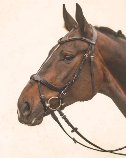 SCHOCKEMOEHLE N.A. English Bridles|Schockemöhle Equitus Alpha Bridle