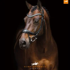 SCHOCKEMOEHLE N.A. English Bridles|Schockemöhle Equitus Beta Bridle