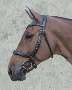 SCHOCKEMOEHLE N.A. English Bridles|Schockemöhle Equitus Delta Bridle