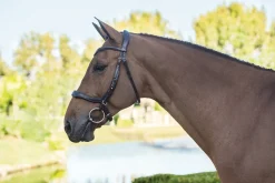 SCHOCKEMOEHLE N.A. English Bridles|Schockemöhle Equitus Delta Bridle