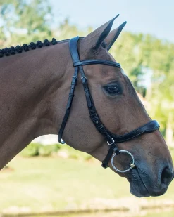 SCHOCKEMOEHLE N.A. English Bridles|Schockemöhle Equitus Delta Bridle