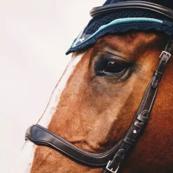 SCHOCKEMOEHLE N.A. English Bridles|Schockemöhle Equitus Delta Bridle