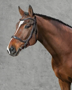 SCHOCKEMOEHLE N.A. English Bridles|Schockemöhle Equitus Delta Bridle