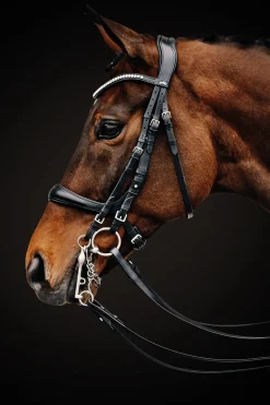 SCHOCKEMOEHLE N.A. English Bridles|Schockemöhle Equitus Gamma Double Bridle