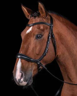 SCHOCKEMOEHLE N.A. English Bridles|Schockemöhle Equitus Theta Bridle