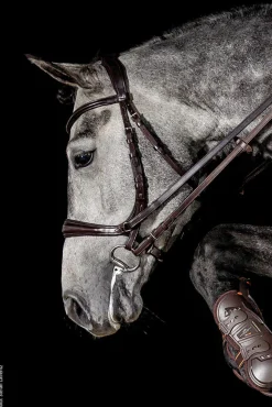 SCHOCKEMOEHLE N.A. English Bridles|Schockemöhle Equitus Theta Bridle