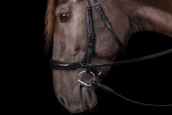 SCHOCKEMOEHLE N.A. English Bridles|Schockemöhle Equitus Theta Bridle